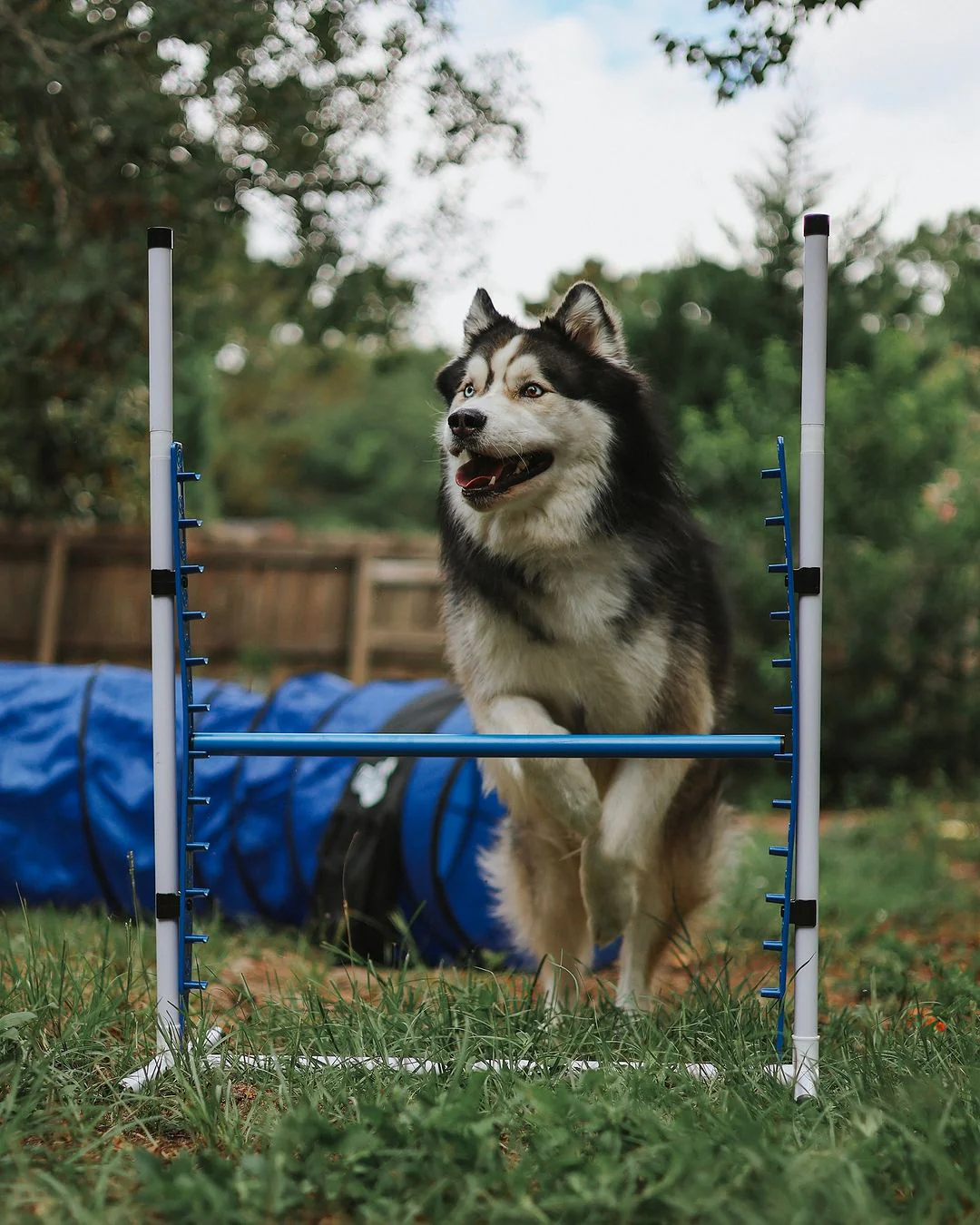 Agility Sets